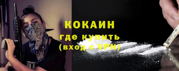 гидра Арсеньев