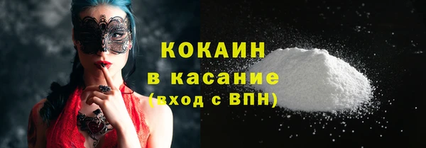 гидра Арсеньев