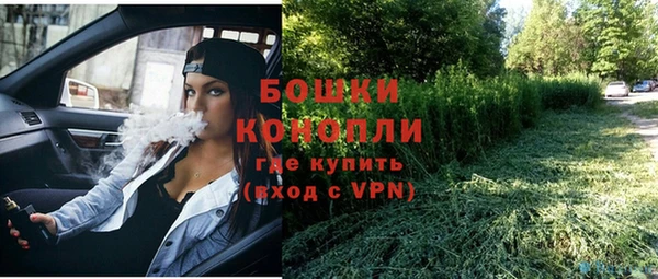бошки Ладушкин