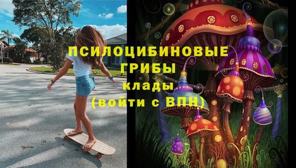 СК Аркадак