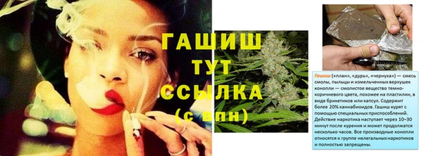 гидра Арсеньев