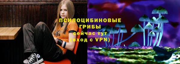 гидра Арсеньев