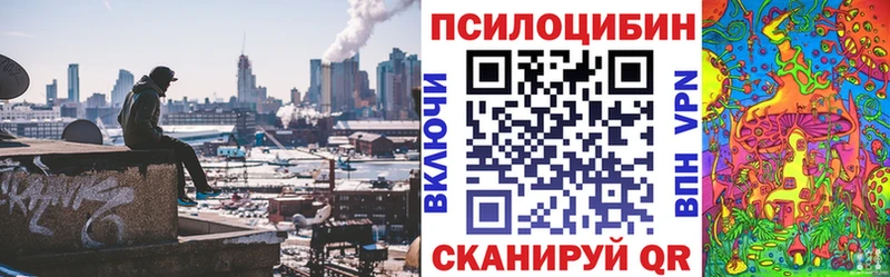 Псилоцибиновые грибы Cubensis  как найти закладки  Подольск 