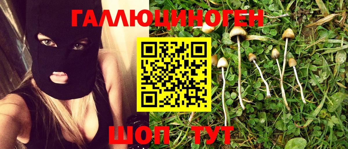 Подольск  Галлюциногенные грибы прущие грибы  Вход с VPN 